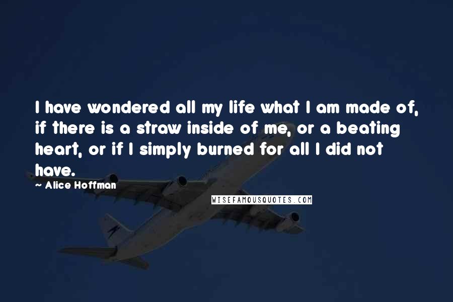 Alice Hoffman Quotes: I have wondered all my life what I am made of, if there is a straw inside of me, or a beating heart, or if I simply burned for all I did not have.