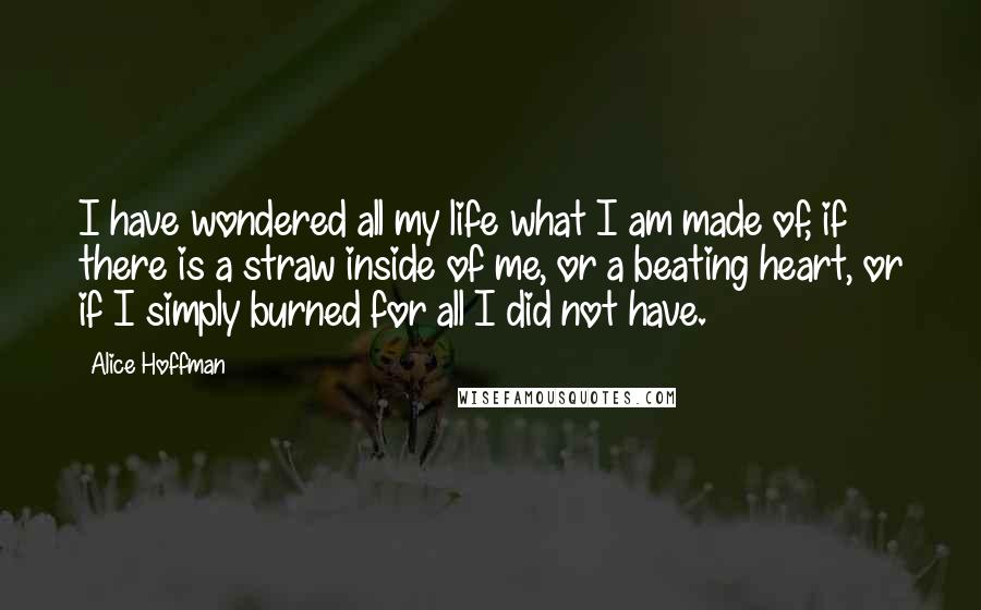 Alice Hoffman Quotes: I have wondered all my life what I am made of, if there is a straw inside of me, or a beating heart, or if I simply burned for all I did not have.