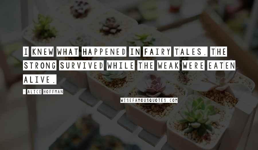 Alice Hoffman Quotes: I knew what happened in fairy tales. The strong survived while the weak were eaten alive.