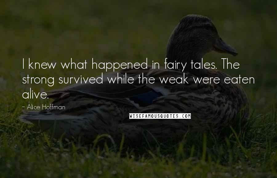 Alice Hoffman Quotes: I knew what happened in fairy tales. The strong survived while the weak were eaten alive.