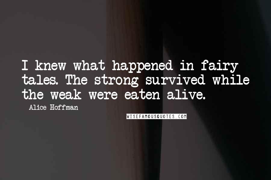 Alice Hoffman Quotes: I knew what happened in fairy tales. The strong survived while the weak were eaten alive.