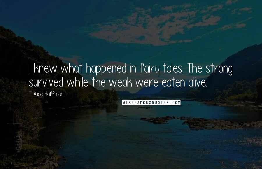 Alice Hoffman Quotes: I knew what happened in fairy tales. The strong survived while the weak were eaten alive.