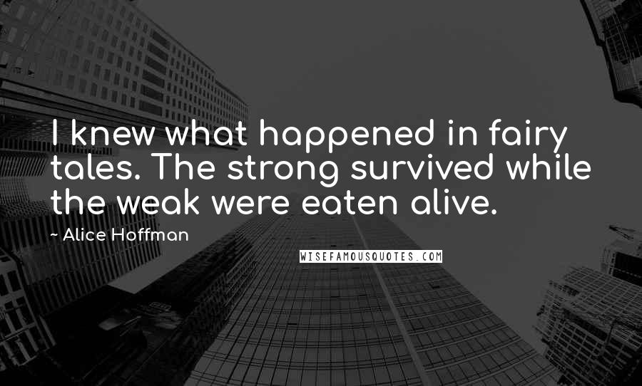 Alice Hoffman Quotes: I knew what happened in fairy tales. The strong survived while the weak were eaten alive.