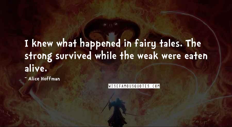 Alice Hoffman Quotes: I knew what happened in fairy tales. The strong survived while the weak were eaten alive.