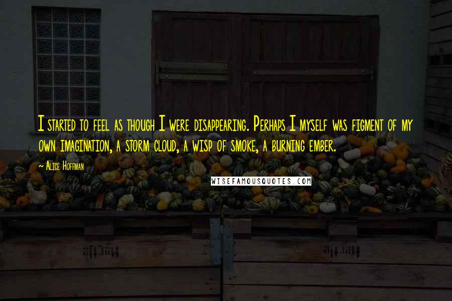 Alice Hoffman Quotes: I started to feel as though I were disappearing. Perhaps I myself was figment of my own imagination, a storm cloud, a wisp of smoke, a burning ember.