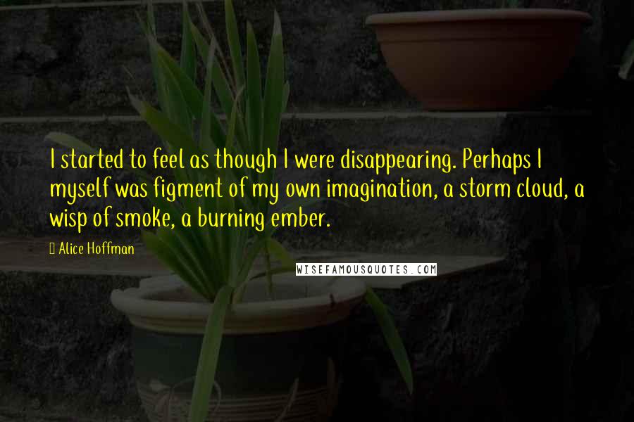 Alice Hoffman Quotes: I started to feel as though I were disappearing. Perhaps I myself was figment of my own imagination, a storm cloud, a wisp of smoke, a burning ember.