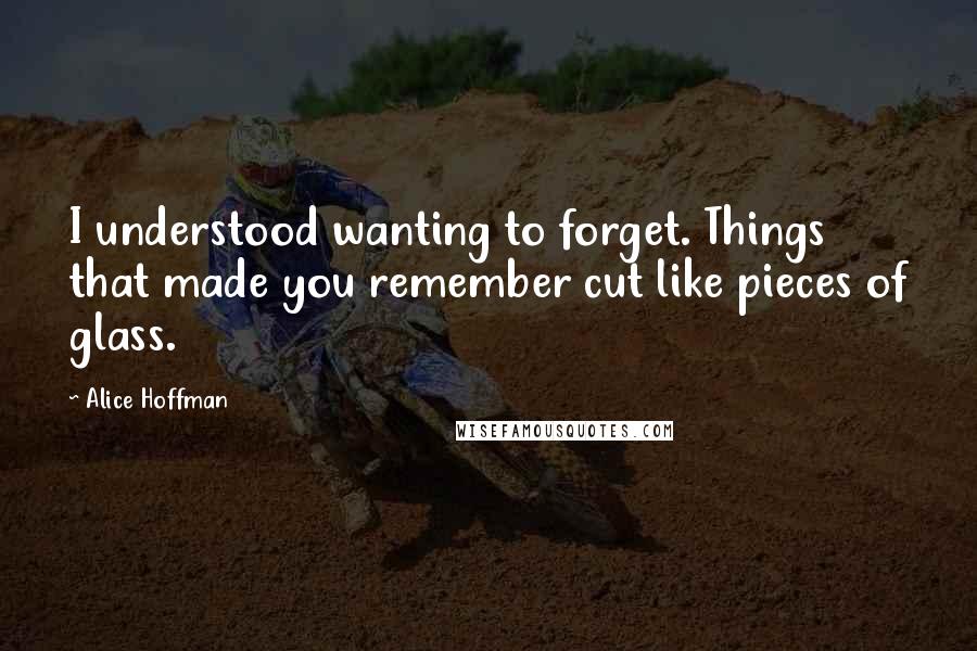 Alice Hoffman Quotes: I understood wanting to forget. Things that made you remember cut like pieces of glass.