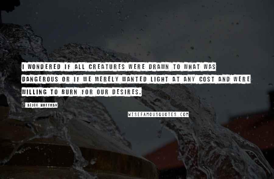 Alice Hoffman Quotes: I wondered if all creatures were drawn to what was dangerous or if we merely wanted light at any cost and were willing to burn for our desires.