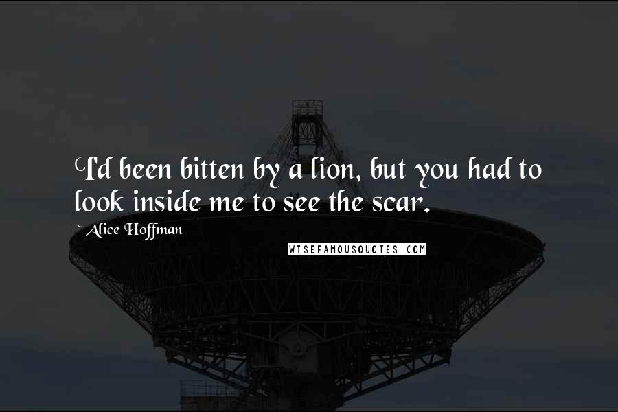 Alice Hoffman Quotes: I'd been bitten by a lion, but you had to look inside me to see the scar.