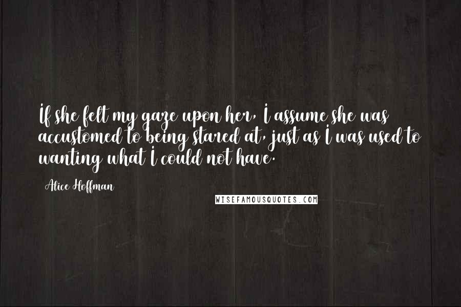 Alice Hoffman Quotes: If she felt my gaze upon her, I assume she was accustomed to being stared at, just as I was used to wanting what I could not have.