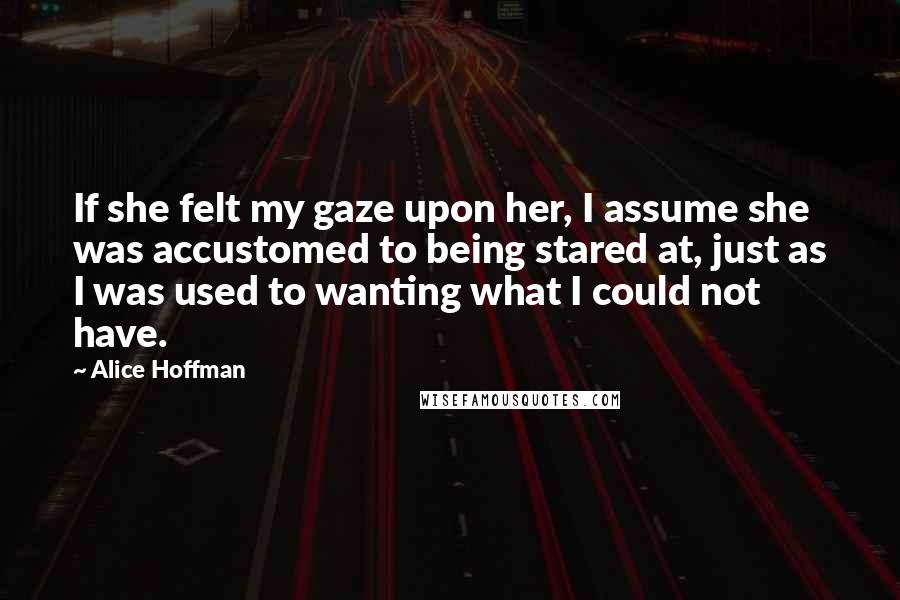 Alice Hoffman Quotes: If she felt my gaze upon her, I assume she was accustomed to being stared at, just as I was used to wanting what I could not have.