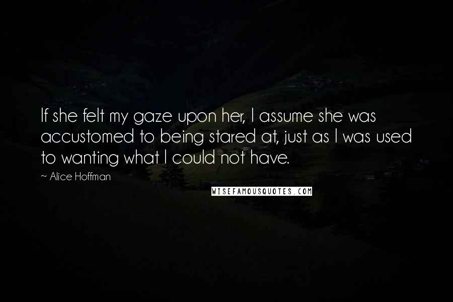 Alice Hoffman Quotes: If she felt my gaze upon her, I assume she was accustomed to being stared at, just as I was used to wanting what I could not have.