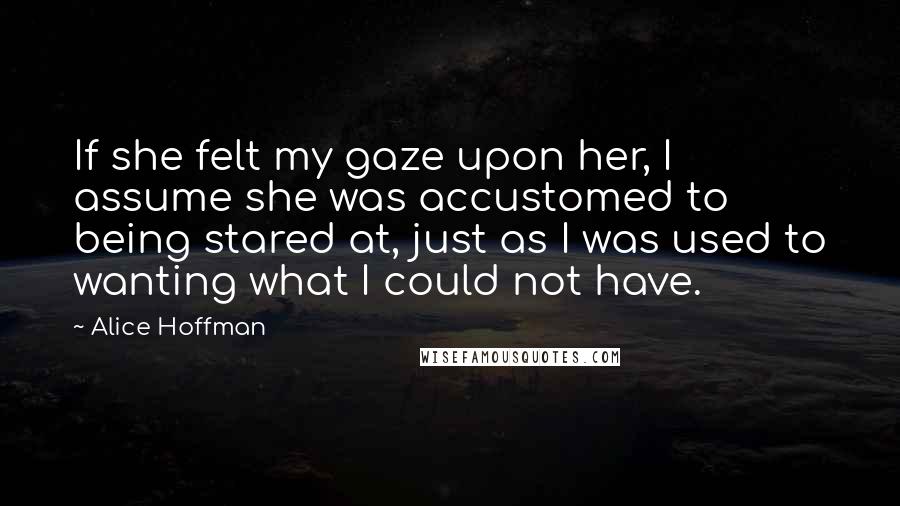 Alice Hoffman Quotes: If she felt my gaze upon her, I assume she was accustomed to being stared at, just as I was used to wanting what I could not have.