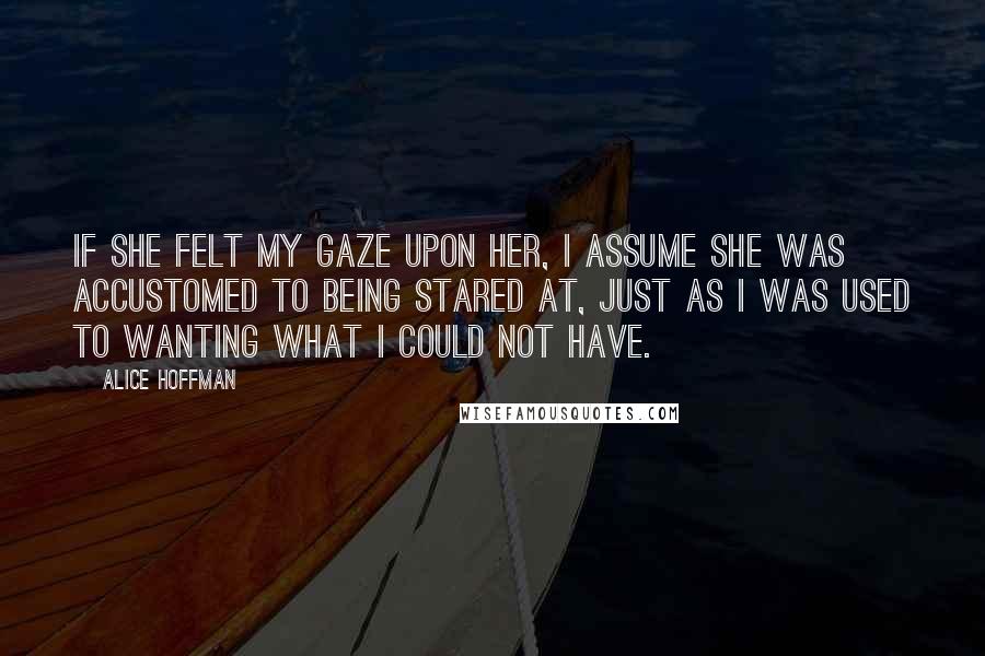 Alice Hoffman Quotes: If she felt my gaze upon her, I assume she was accustomed to being stared at, just as I was used to wanting what I could not have.