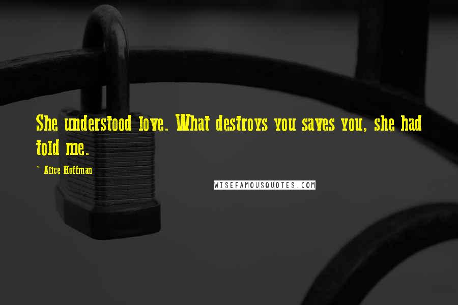 Alice Hoffman Quotes: She understood love. What destroys you saves you, she had told me.