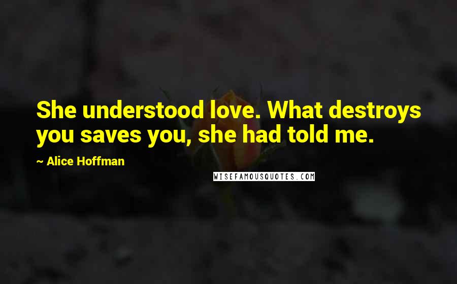 Alice Hoffman Quotes: She understood love. What destroys you saves you, she had told me.