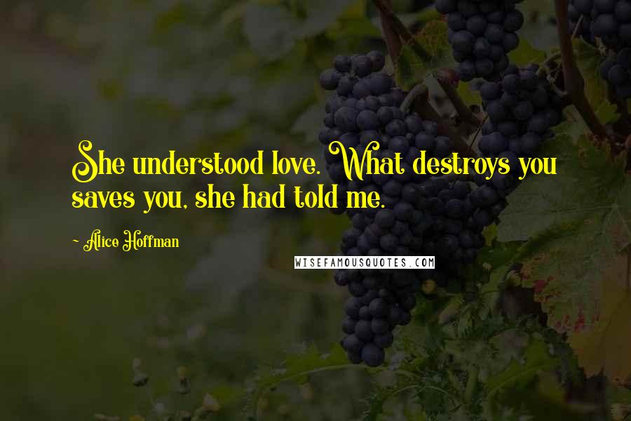 Alice Hoffman Quotes: She understood love. What destroys you saves you, she had told me.