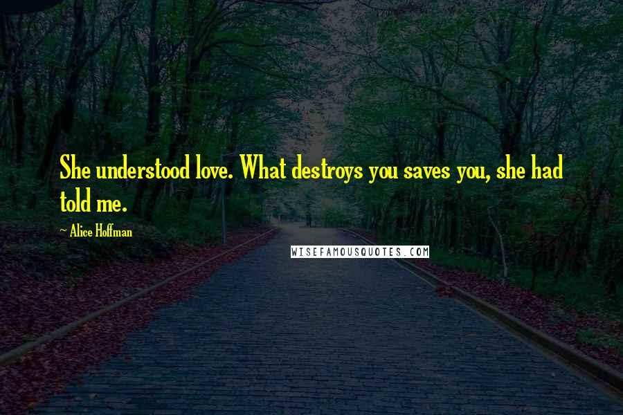 Alice Hoffman Quotes: She understood love. What destroys you saves you, she had told me.