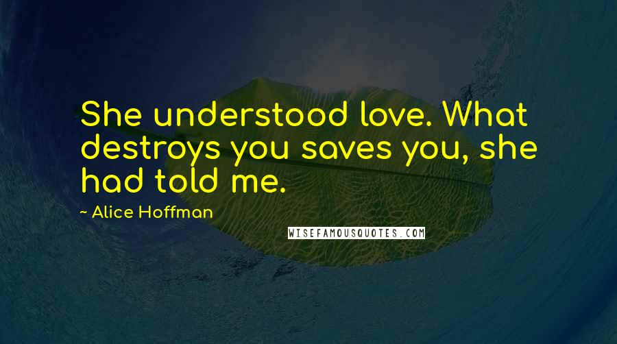 Alice Hoffman Quotes: She understood love. What destroys you saves you, she had told me.