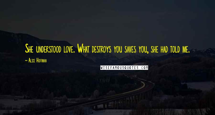 Alice Hoffman Quotes: She understood love. What destroys you saves you, she had told me.