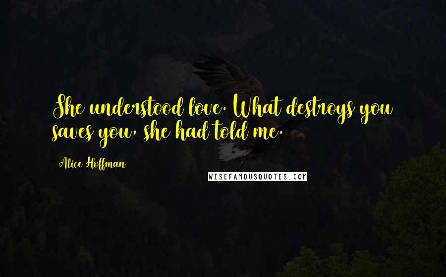 Alice Hoffman Quotes: She understood love. What destroys you saves you, she had told me.