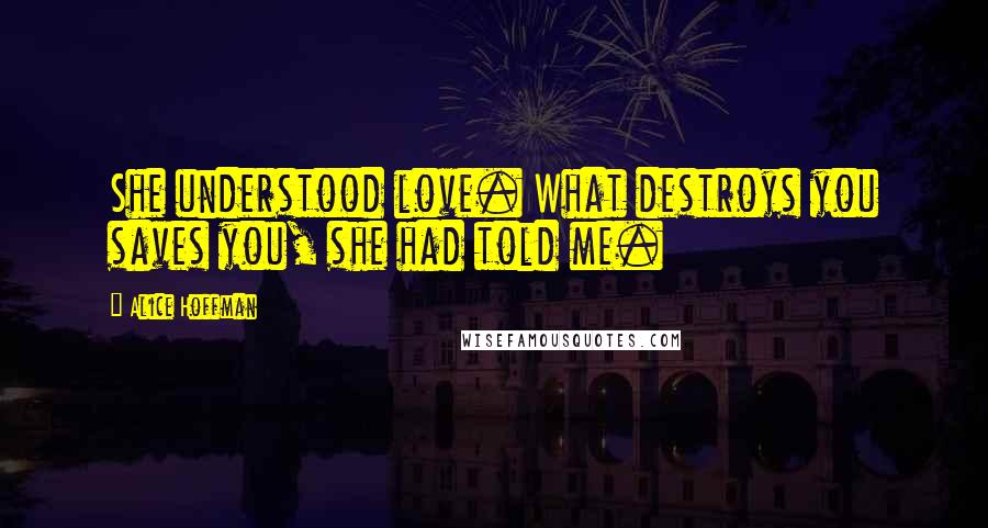 Alice Hoffman Quotes: She understood love. What destroys you saves you, she had told me.