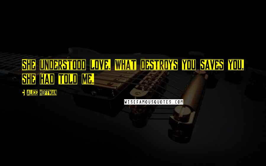 Alice Hoffman Quotes: She understood love. What destroys you saves you, she had told me.