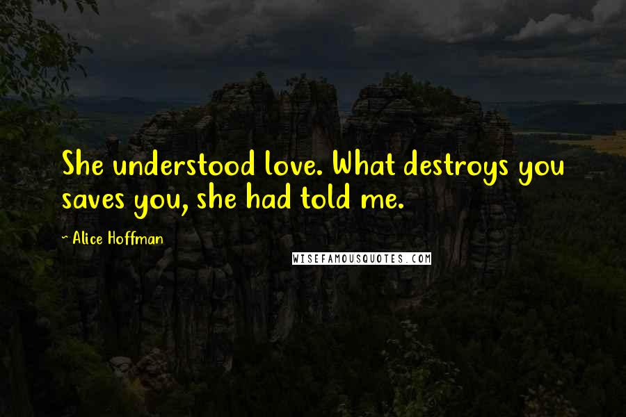 Alice Hoffman Quotes: She understood love. What destroys you saves you, she had told me.