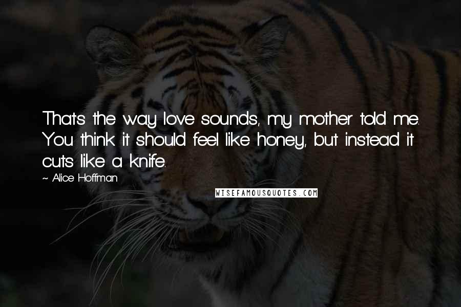 Alice Hoffman Quotes: That's the way love sounds, my mother told me. You think it should feel like honey, but instead it cuts like a knife.