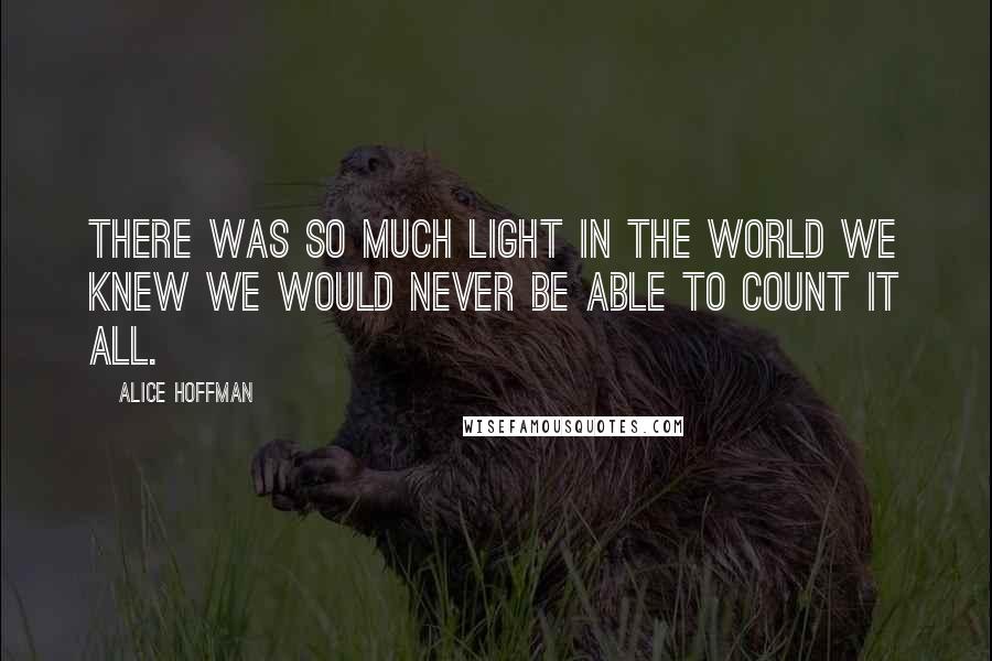 Alice Hoffman Quotes: There was so much light in the world we knew we would never be able to count it all.