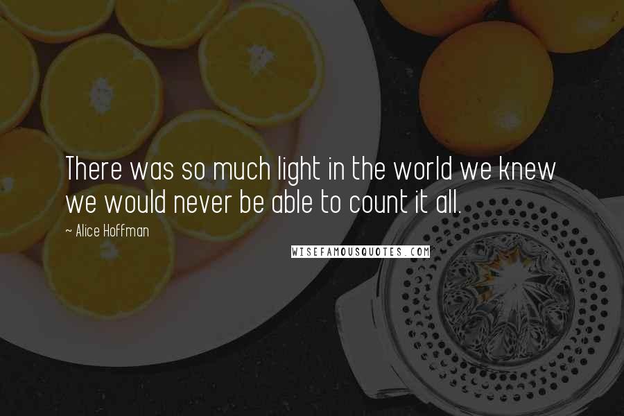 Alice Hoffman Quotes: There was so much light in the world we knew we would never be able to count it all.