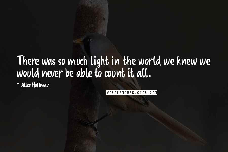 Alice Hoffman Quotes: There was so much light in the world we knew we would never be able to count it all.