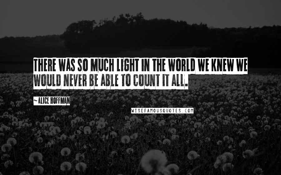 Alice Hoffman Quotes: There was so much light in the world we knew we would never be able to count it all.