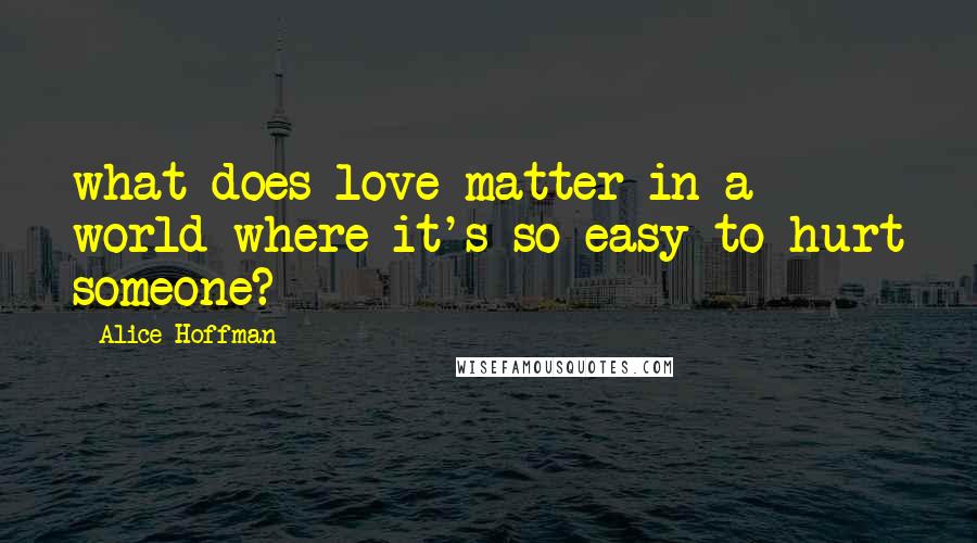 Alice Hoffman Quotes: what does love matter in a world where it's so easy to hurt someone?