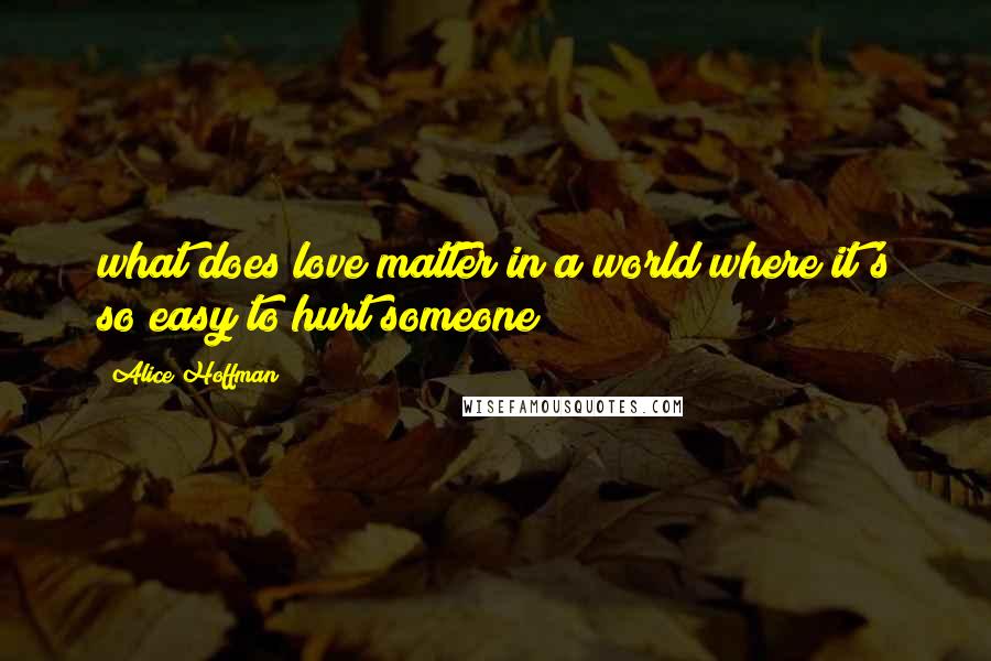 Alice Hoffman Quotes: what does love matter in a world where it's so easy to hurt someone?