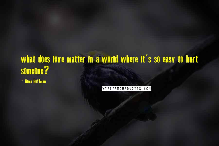 Alice Hoffman Quotes: what does love matter in a world where it's so easy to hurt someone?