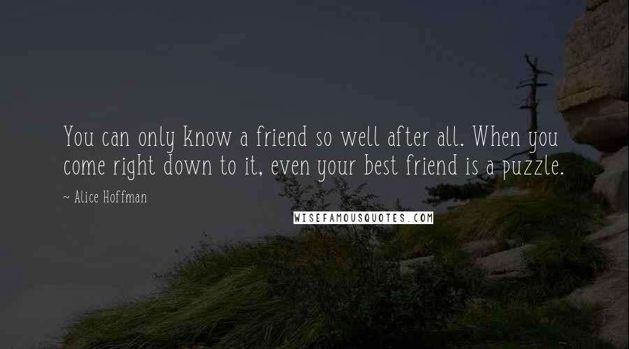 Alice Hoffman Quotes: You can only know a friend so well after all. When you come right down to it, even your best friend is a puzzle.