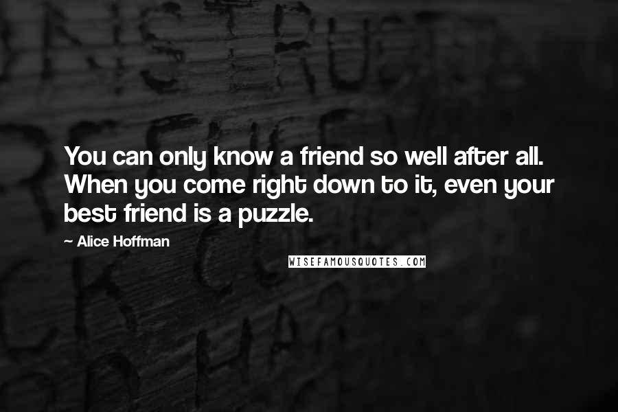 Alice Hoffman Quotes: You can only know a friend so well after all. When you come right down to it, even your best friend is a puzzle.