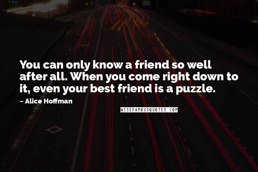 Alice Hoffman Quotes: You can only know a friend so well after all. When you come right down to it, even your best friend is a puzzle.