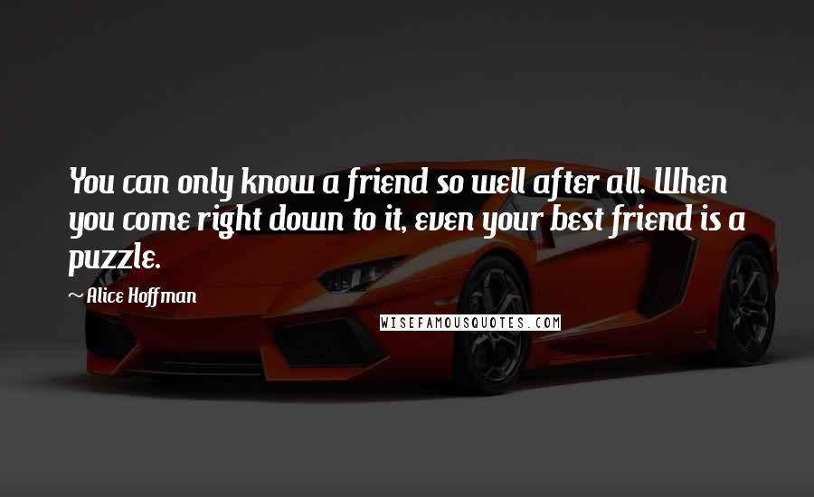 Alice Hoffman Quotes: You can only know a friend so well after all. When you come right down to it, even your best friend is a puzzle.