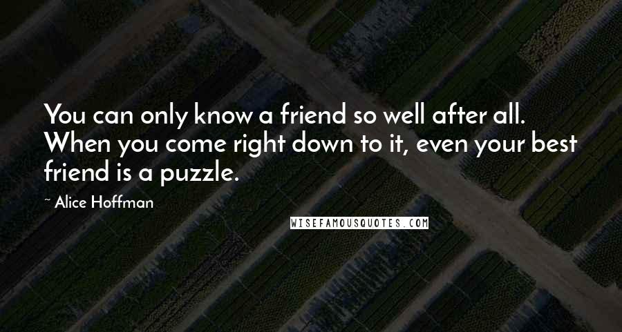 Alice Hoffman Quotes: You can only know a friend so well after all. When you come right down to it, even your best friend is a puzzle.