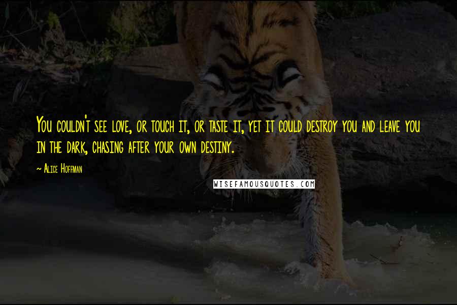 Alice Hoffman Quotes: You couldn't see love, or touch it, or taste it, yet it could destroy you and leave you in the dark, chasing after your own destiny.