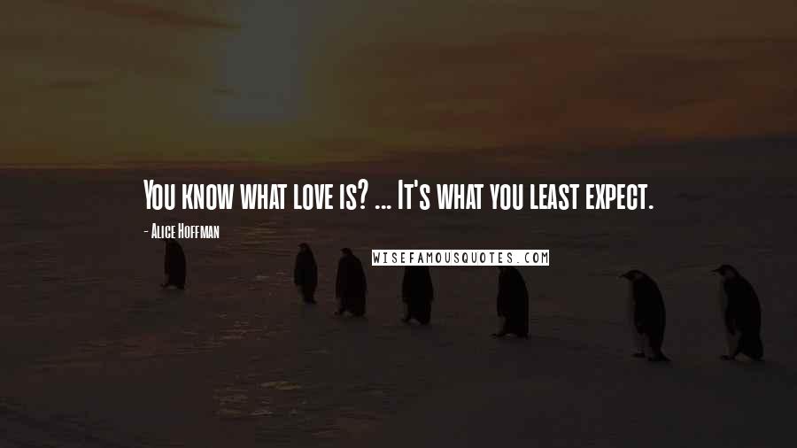 Alice Hoffman Quotes: You know what love is? ... It's what you least expect.