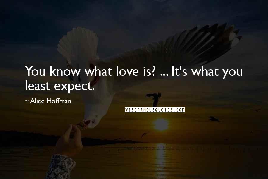 Alice Hoffman Quotes: You know what love is? ... It's what you least expect.