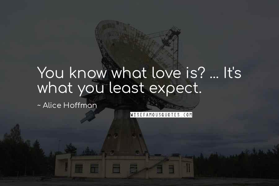 Alice Hoffman Quotes: You know what love is? ... It's what you least expect.