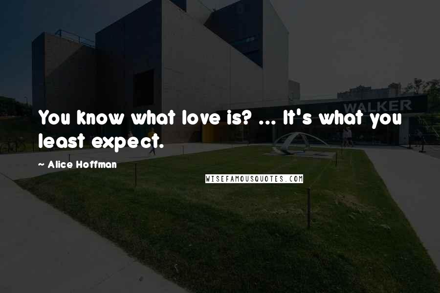 Alice Hoffman Quotes: You know what love is? ... It's what you least expect.