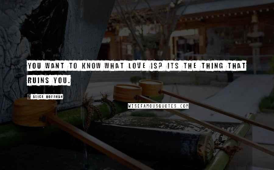 Alice Hoffman Quotes: You want to know what love is? Its the thing that ruins you.