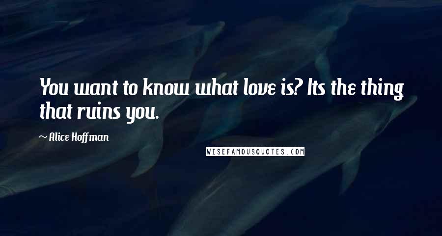 Alice Hoffman Quotes: You want to know what love is? Its the thing that ruins you.