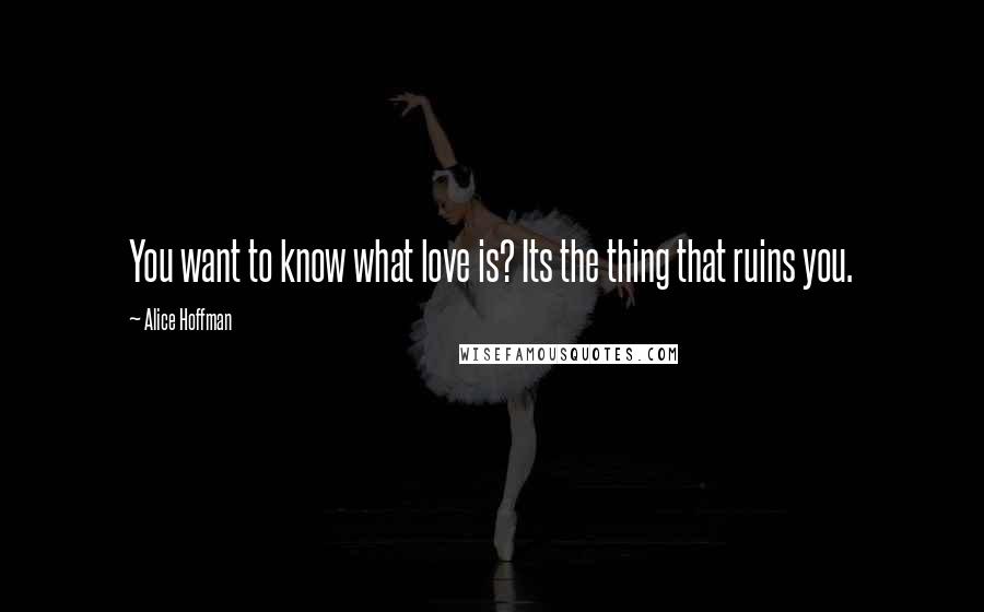 Alice Hoffman Quotes: You want to know what love is? Its the thing that ruins you.