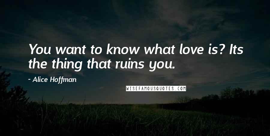Alice Hoffman Quotes: You want to know what love is? Its the thing that ruins you.